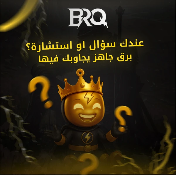 استشارة مع خبراء الكمبيوتر 